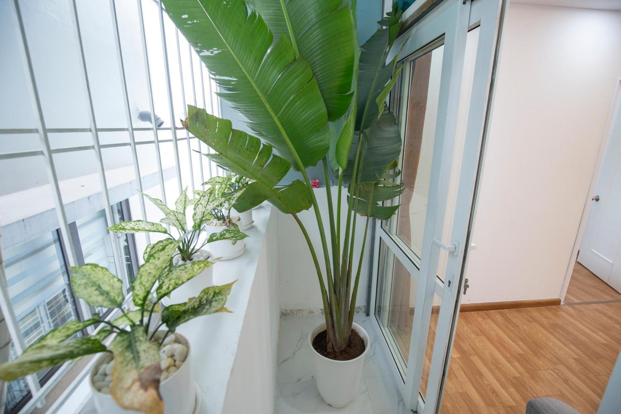 Sumitomo 4 Serviced Apartments & Breakfast Hanoi Dış mekan fotoğraf